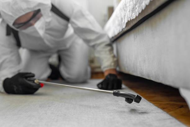 Professional Bed Bug Control technician working in Gloversville, NY