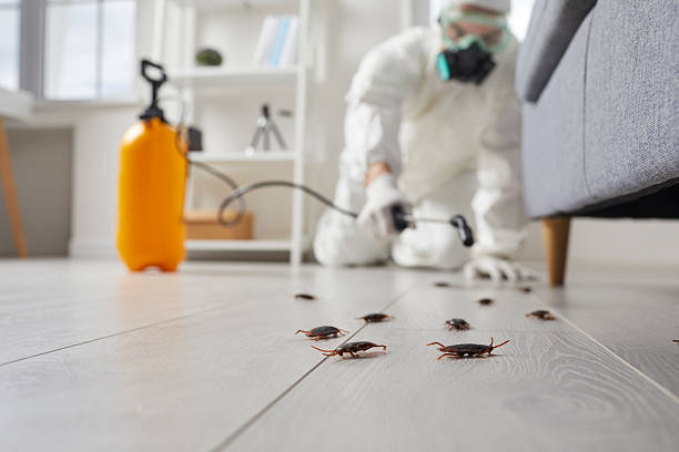 Trusted Cockroach Control service in Gloversville, NY - Nex Pest Control
