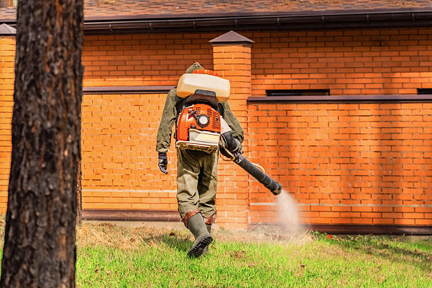 Trusted Ant Control service in Gloversville, NY - Nex Pest Control